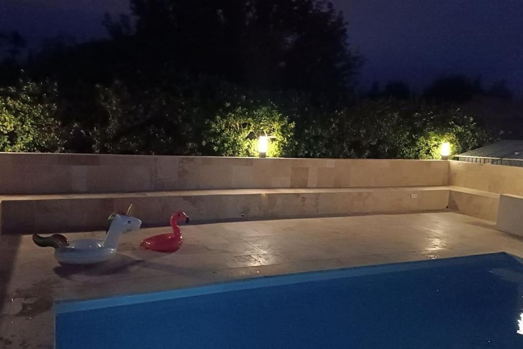 Charmant Studio Avec Piscine Villemoustaussou Exterior foto